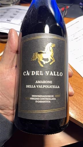 Benecija Amarone della Valpolicella Cà del Vallo 2021