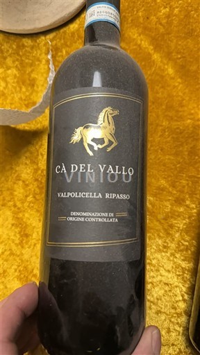 Vénétie Valpolicella Ripasso Cà Del Vallo 2021