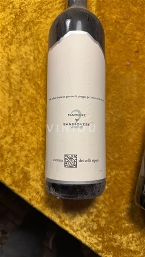 Marche Cantina dei Colli Ripani 2015