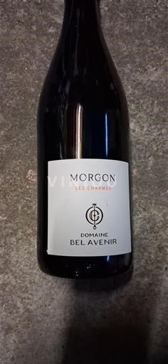 Beaujolais Morgon Domaine Bel Avenir Les Charmes 2023