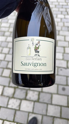 Wines of Trentino-Alto Adige Unspecified Kellerei Cantina Terlan Sauvignon Non-Vintage