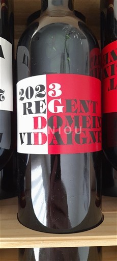 Vallée de la Loire Domaine David Regent 2023