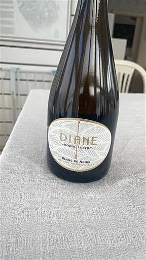 Loirevallei Crémant de Loire Jacques Lurton Diane Niet-geïntegreerd