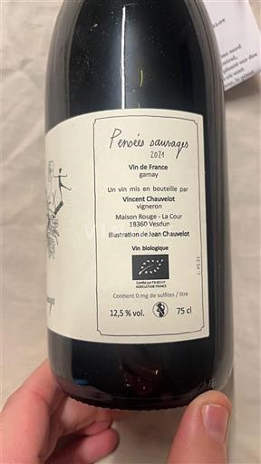 Sud-Ouest Vincent Chauvelot Pensées sauvages 2021