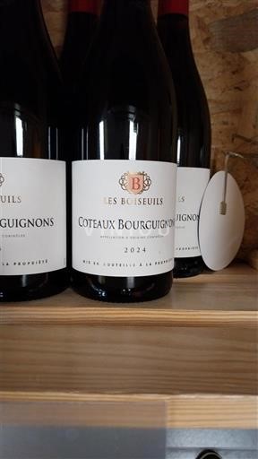 Bourgogne Coteaux bourguignons Les Bûseuils 2024