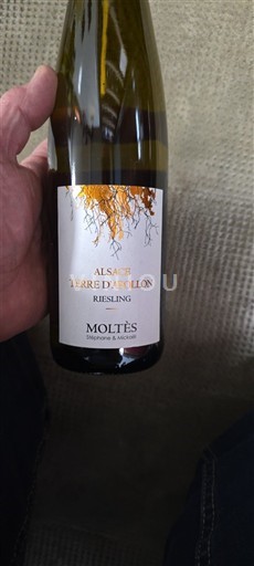 Alsácia Moltes Terre d'Acolion 2018