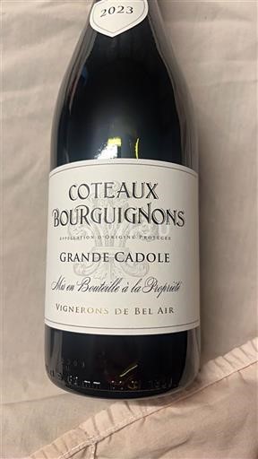 Bourgogne Coteaux bourguignons Vignerons des Bel Air Grande Cadole 2023