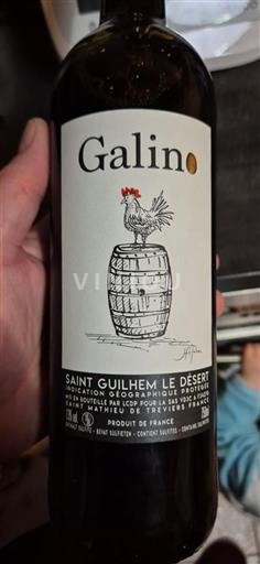 Languedoc in Roussillon Saint-Guilhem-le-Désert Galino 2023