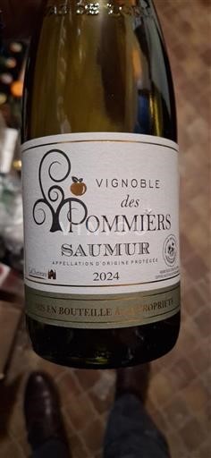 Loire Valley Saumur Vignoble des Pommiers 2024