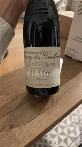 Valle del Rodano Vacqueyras Domaine Le Sang des Cailloux Lopy 2020