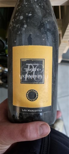 Thung lũng sông Loire Anjou Domaine Pierre Chauvin Les Marcottes 2010