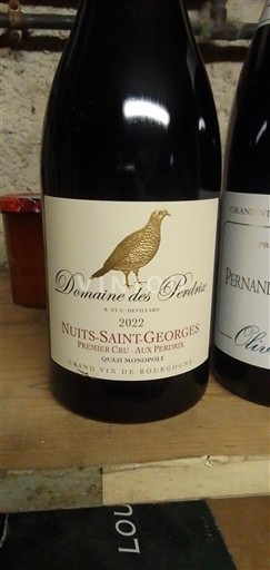 Borgogna Nuits-Saint-Georges Premier Cru Domaine S Perdrix Aux Perdrix 2022