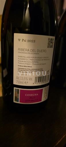Castilien og León Ribera del Duero Bodegas y Viñedos Alnardo Psi 2023
