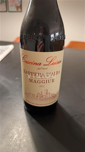 Piamonte Barbera d'Alba Cascina Luisin Maggior 2022