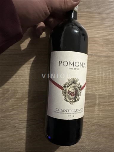 Toscana Chianti Classico Pomona 2019