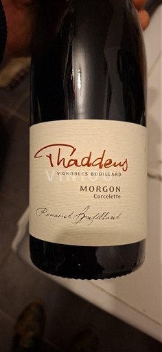 Beaujolais Morgon Vignobles Bouillard Thaddeus Ei vuosikertaa