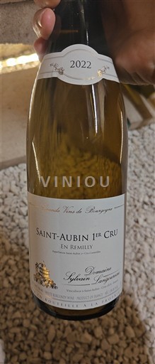 Burgundy Saint-Aubin Premier Cru Domaine Sylvain Langoureau En Remilly 2022