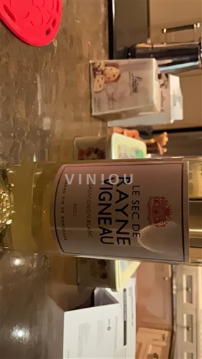 Vinos Blanc sec Le Sec de Rayne Vigneau Rayne Vigneau 2022 Francia Burdeos Bordeaux AOC