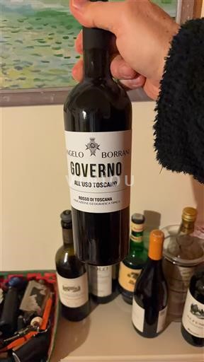 Toscana Non specificato Angelo Borrani Governo all'Uso Toscano Senza annata