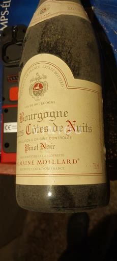 Borgogna Hautes Côtes de Nuits Moillard 2010