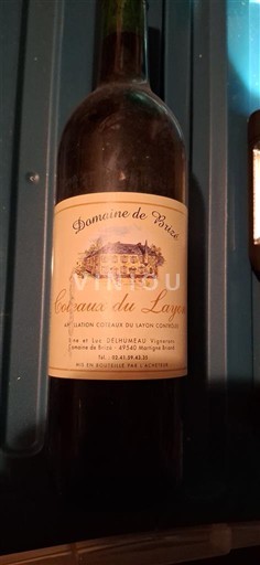 Loire Valley Coteaux du Layon Domaine Brize Non-Vintage
