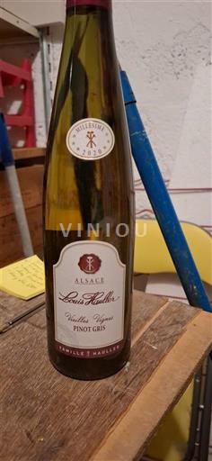 Alsácia Louis Hauller Vieilles Vignes Pinot Gris 2020