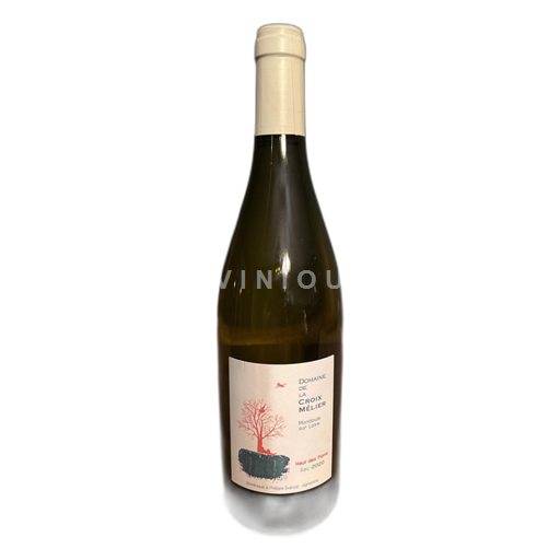 Valle del Loira Montlouis-sur-Loire Croix Mélier Haut des pions 2020