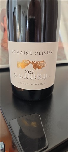Thung lũng sông Loire Saint-Nicolas-De-Bourgueil Domaine Olivier Domaine 2022