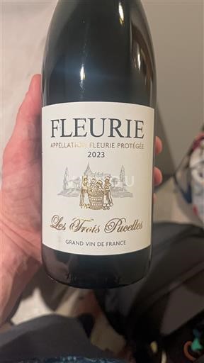 Beaujolais Fleurie Les Trois Pucelles 2023