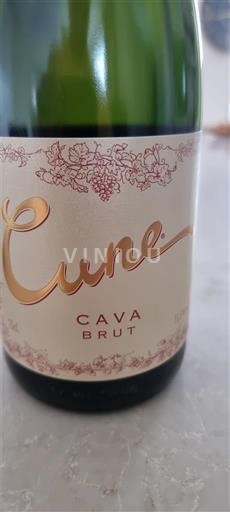 Cataluña Cava Cune Cava Brut Sin añada
