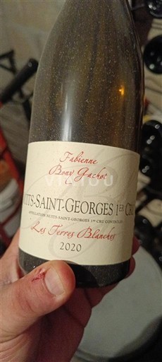 Bourgogne Nuits-saint-georges Premier Cru Fabienne Bony Gaucher Les Terres Blanches 2020