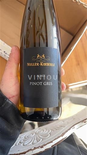 Alsace Muller-Koeberle Không niên vụ