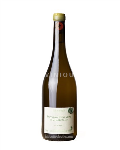 Loire-dalen Geoffrey de Nouel Jeaune vigne 2021