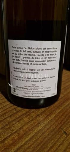 Valle della Loira Muscadet Fermenterre Vicesimus 2020