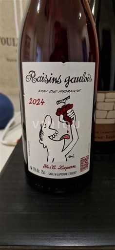 Beaujolais Không được chỉ định Mathieu et Camille Lapierre Raisins Gaulois 2024