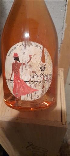 Provence, hạ lưu Rhône, Corse Anpơ-Haute-Provence Domaine La Croisée des chemins La Divine 2019