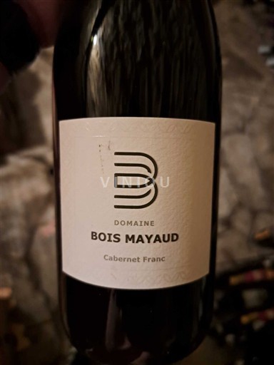Valle della Loira Saint-Nicolas-De-Bourgueil Domaine Bois Mayaud Cabernet Franc 2022