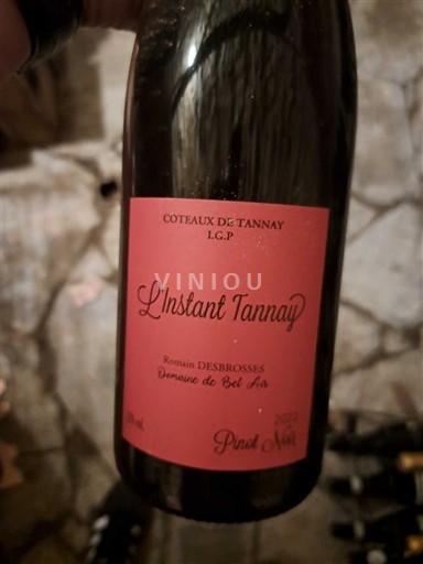 Valle della Loira Coteaux di Tannay Domaine Bel Air L'Instant Tannay 2022
