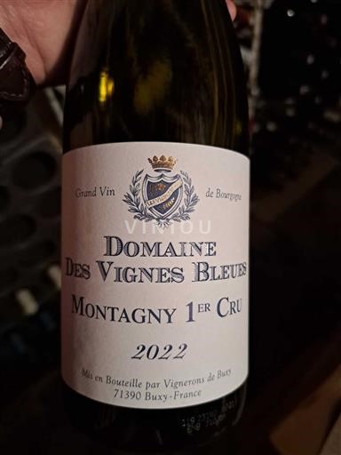 Burgundija Ni doloceno Premier Cru Domaine S Vignes Bleues 2022