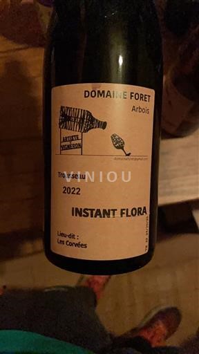 Jura Arbois Domaine Foret Instant Flora 2022