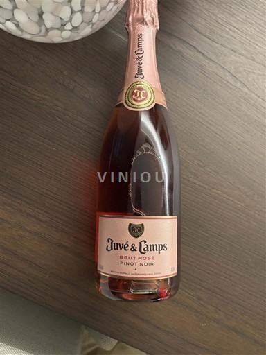 Catalonia Cava Juvé y Camps Brut Rosé Pinot Noir Không niên vụ