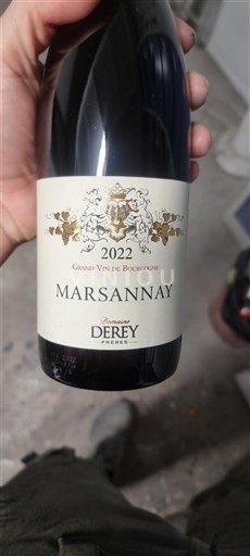 Borgonha Marsannay Domaine Rey Frères 2022