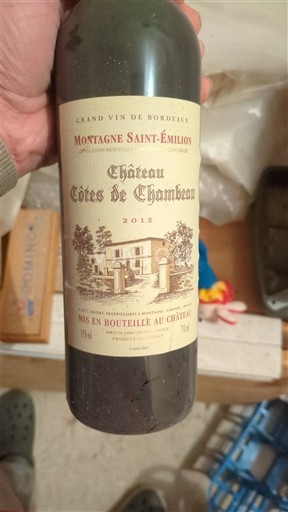 Bordeaux Montagne-saint-émilion Château Côtes de Chambeau 2012