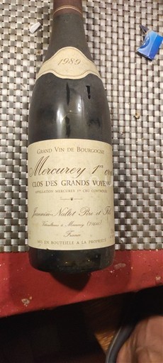 Borgogna Mercurey Premier Cru Jamain-Navlet Père et Fils Clos des Grands Voyens 1989