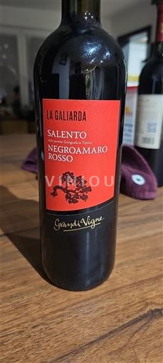 Puglia Susumaniello Salento Grandi Vigne La Galiarda Non-Vintage