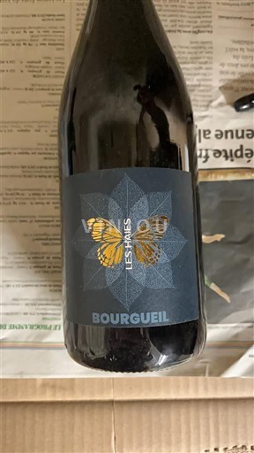 Dolina Loare Bourgueil Les Ariès 2020