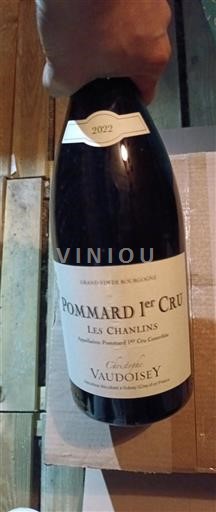 Bourgogne Pommard Premier Cru Domaine Vaudoisey Les Chanlins 2022