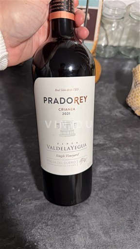 Castilien og León Ribera del Duero Pradorey Finca Valdelayegua 2021