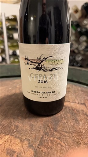 Castilien og León Ribera del Duero Cepa 21 2016