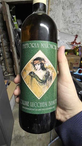 Toscane Niet gespecificeerd Fattoria Maionchi 2009